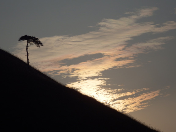 dscf1229.jpg