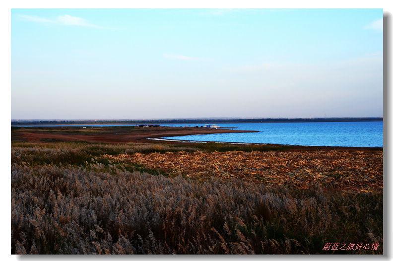 dsc_0919.jpg