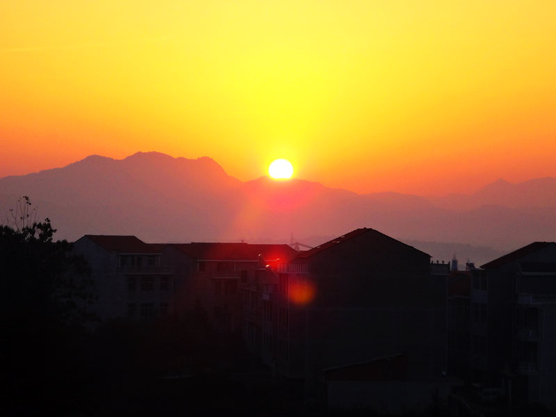 dsc03286.jpg