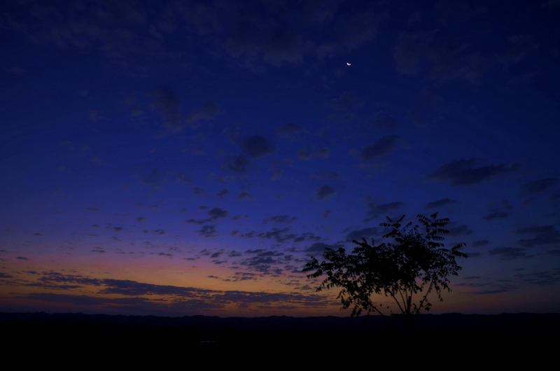 dsc_2223_С.jpg