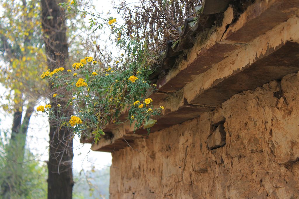 img_7566_.jpg