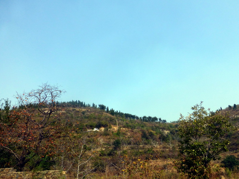 p1130615.jpg