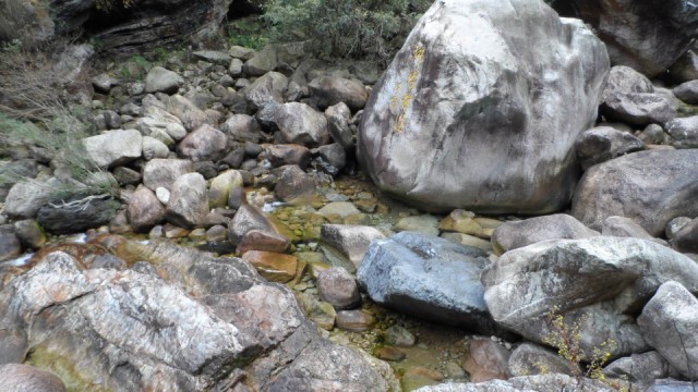 sam_0817 .jpg