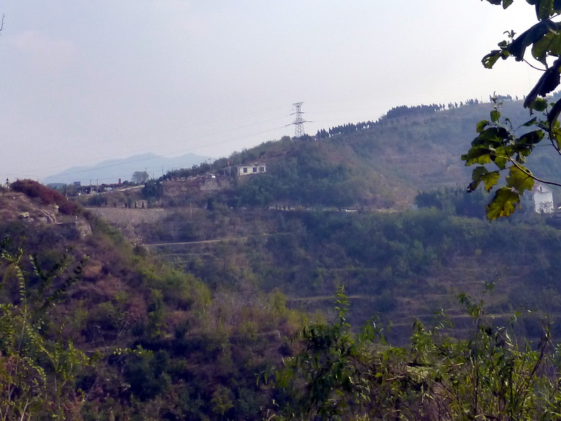 p1130622.jpg