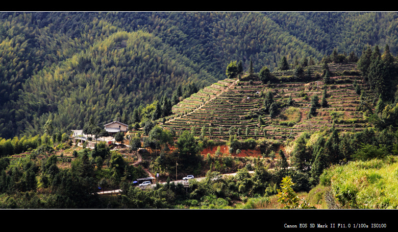 _mg_6850.jpg