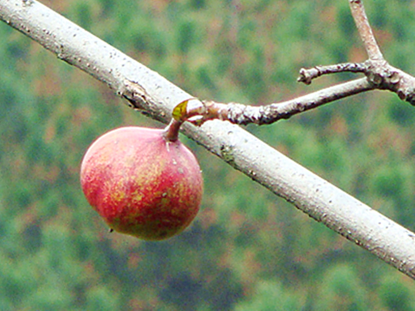 dsc02091_.jpg