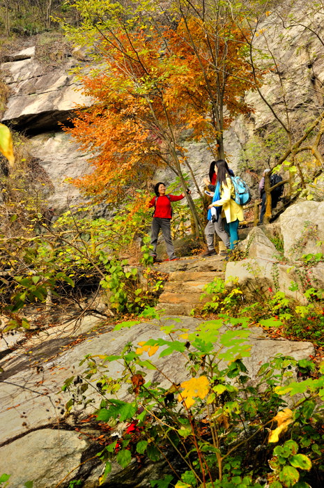 _dsc3554.jpg