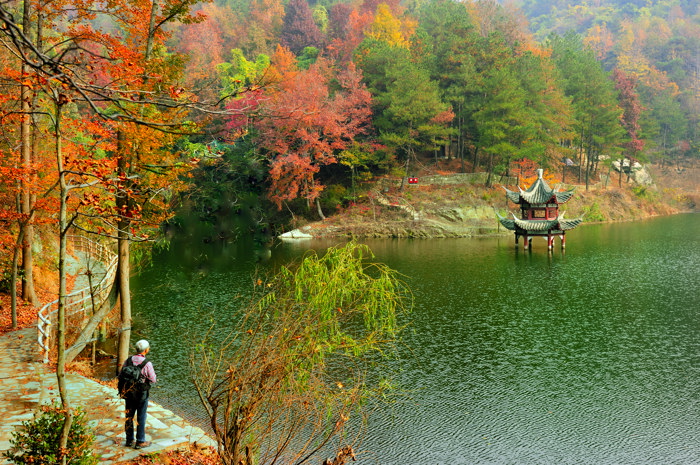 _dsc3585.jpg