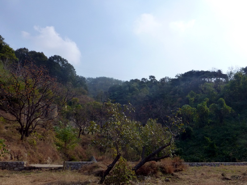 p1130644.jpg