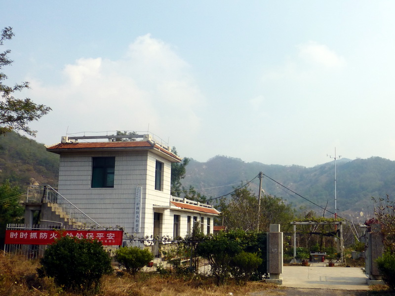 p1130647.jpg