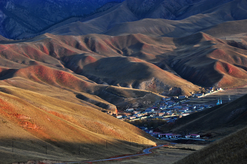 dsc_0773.jpg