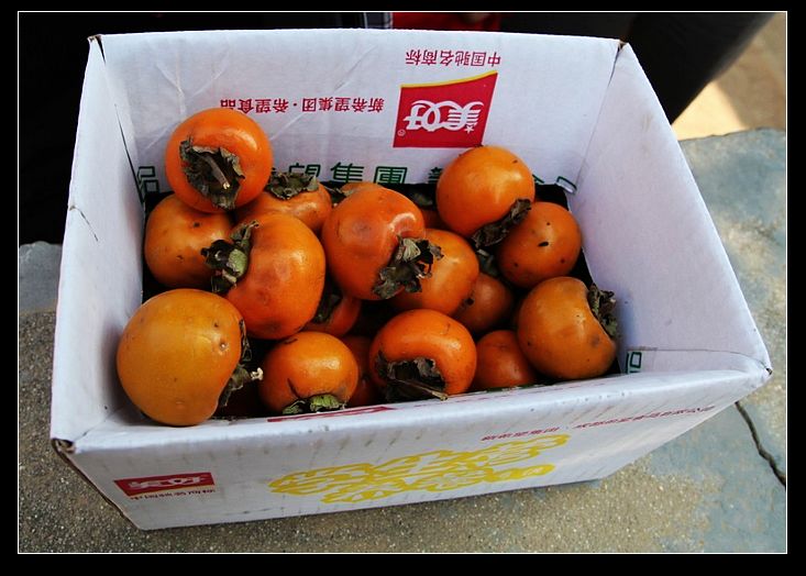 qqͼƬ20131027170354.jpg