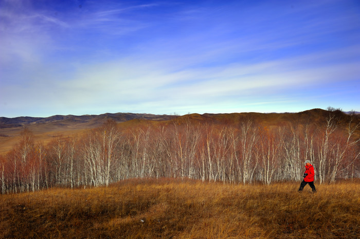 _dsc2896.jpg