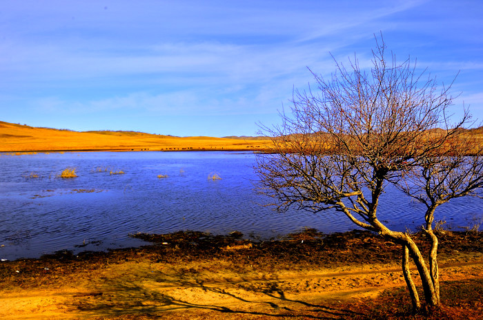 _dsc2881.jpg