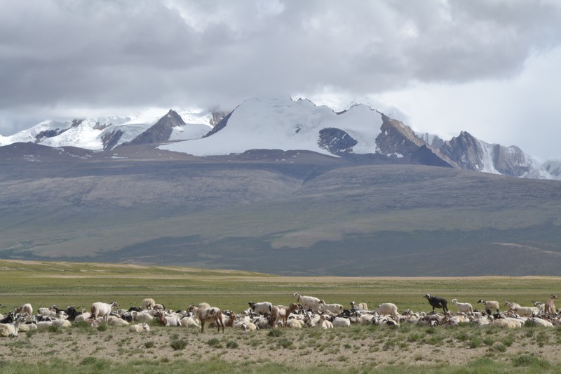 dsc_9428.jpg