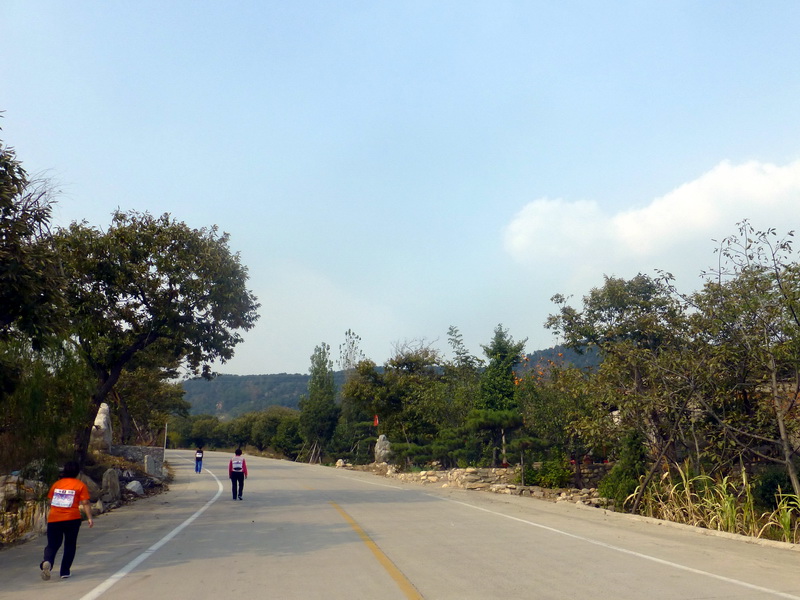 p1130685.jpg