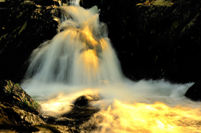 _dsc3336.jpg