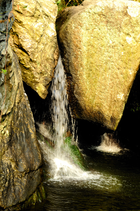 _dsc3192.jpg
