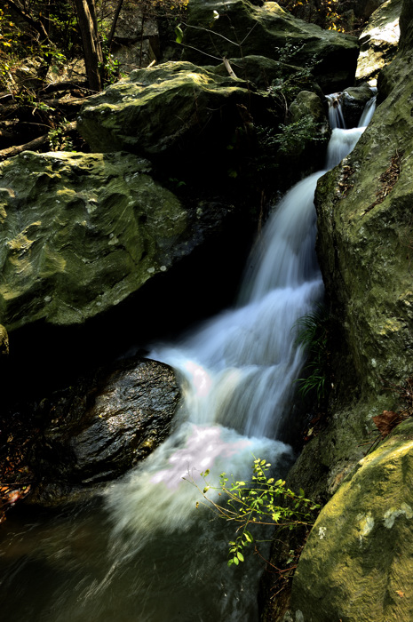 _dsc3264.jpg