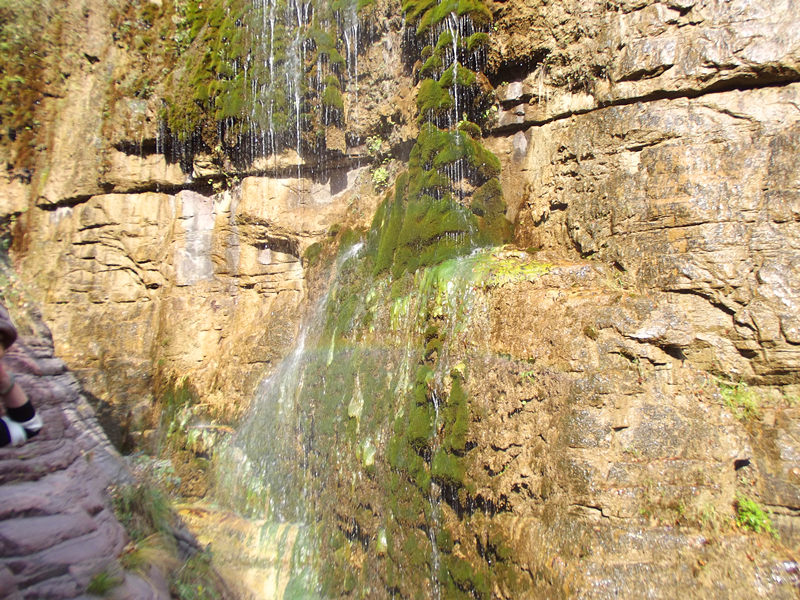 dscf5067_.jpg
