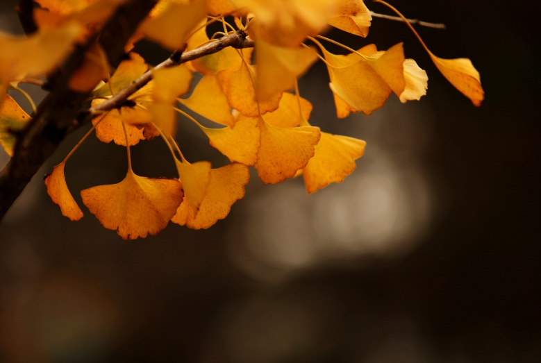 img_5872__conew1.jpg