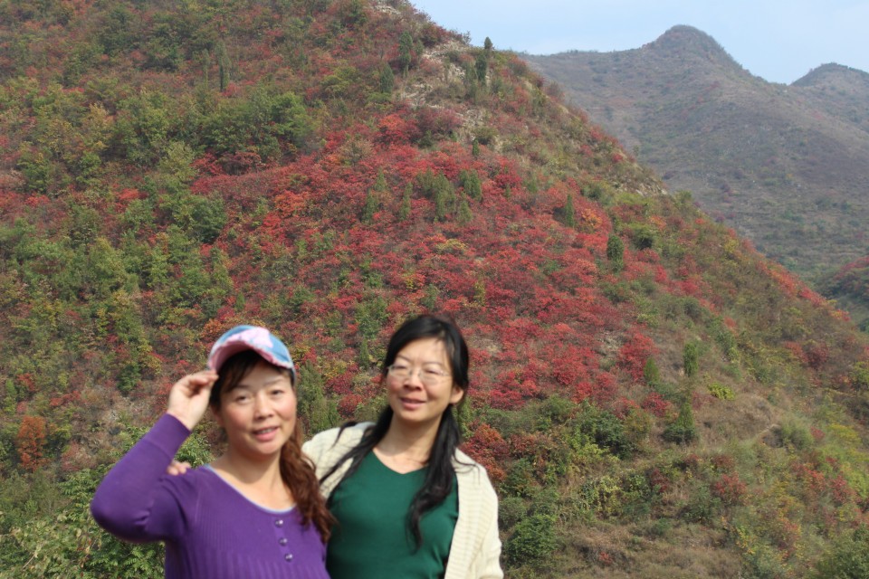 qqͼƬ20131101202546.jpg