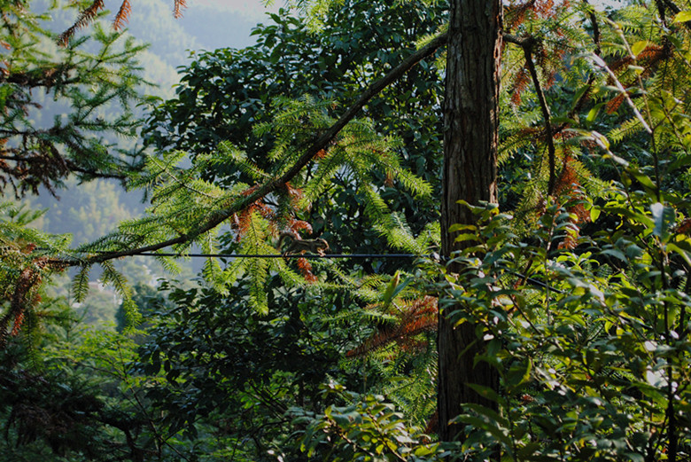 dsc_0176__.jpg