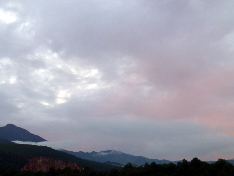 p1130855.jpg
