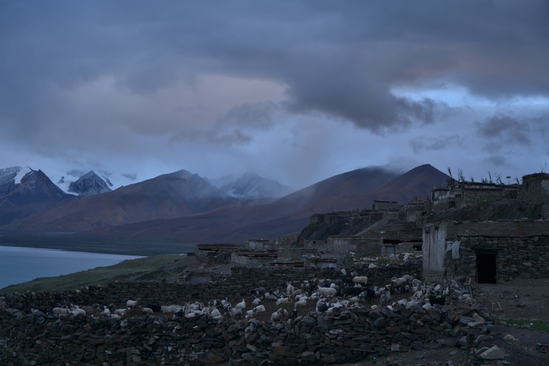 dsc_9703.jpg