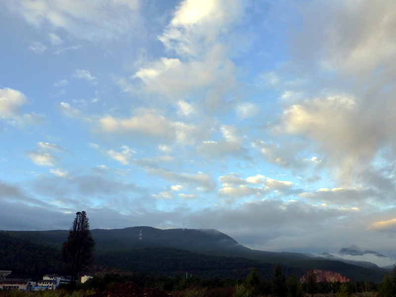 p1130861.jpg