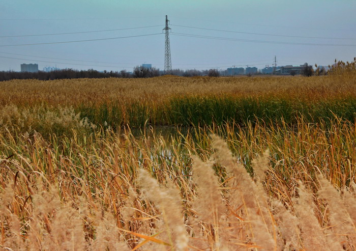 img_9104_СС.jpg