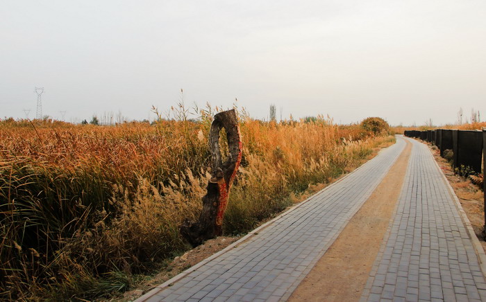 img_9114_СС.jpg