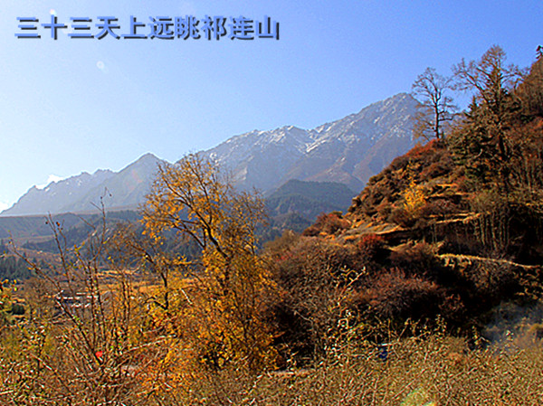 img_1919_.jpg