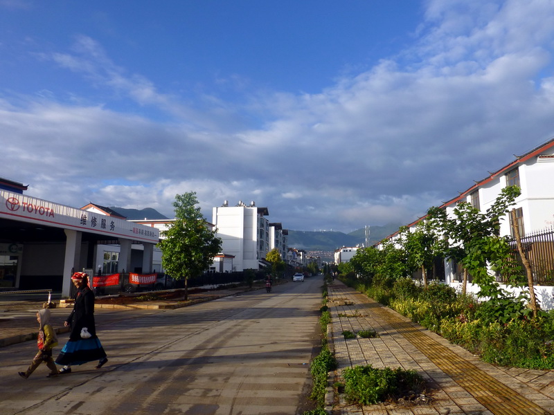 p1130880.jpg