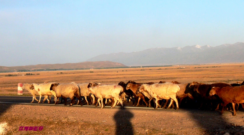 p12901031.jpg