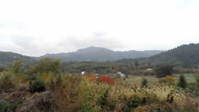 ع sam_0743 .jpg