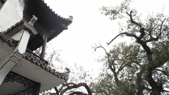 ع sam_0675 .jpg