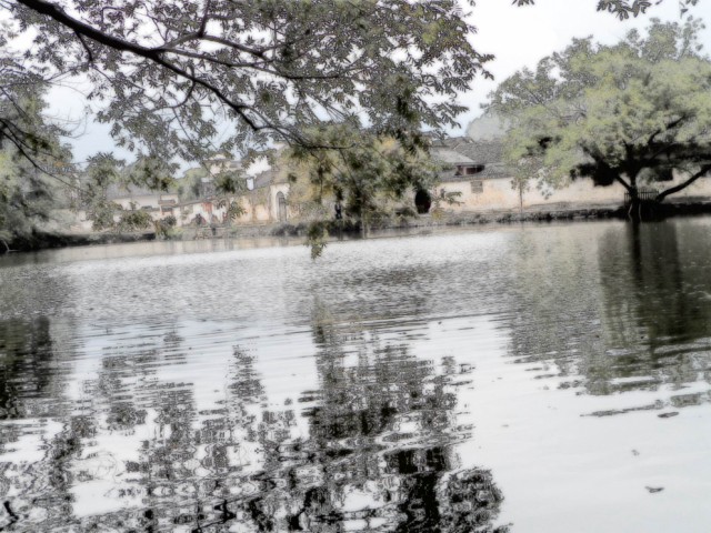 sam_0707 .jpg