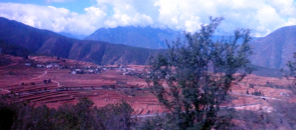 p1130924.jpg