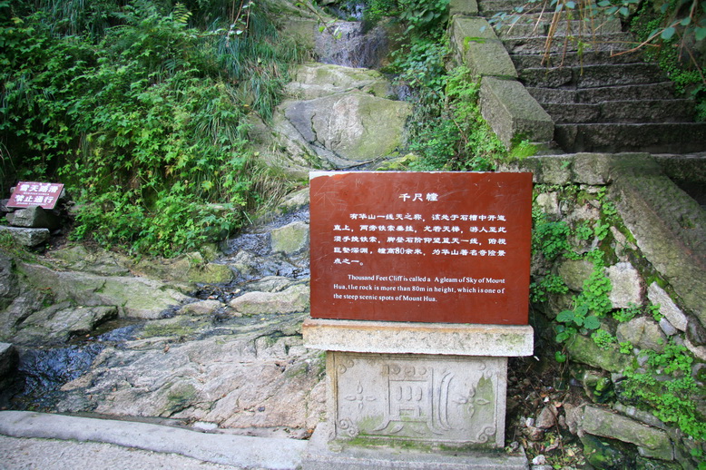2789.jpg