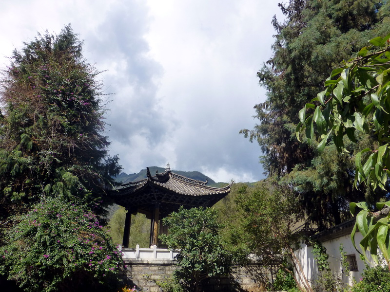p1130943.jpg