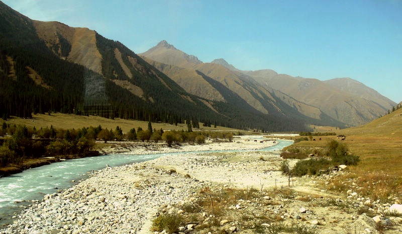 p12902011.jpg