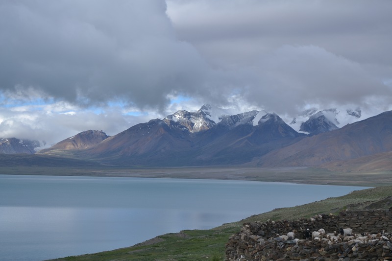 dsc_9733.jpg
