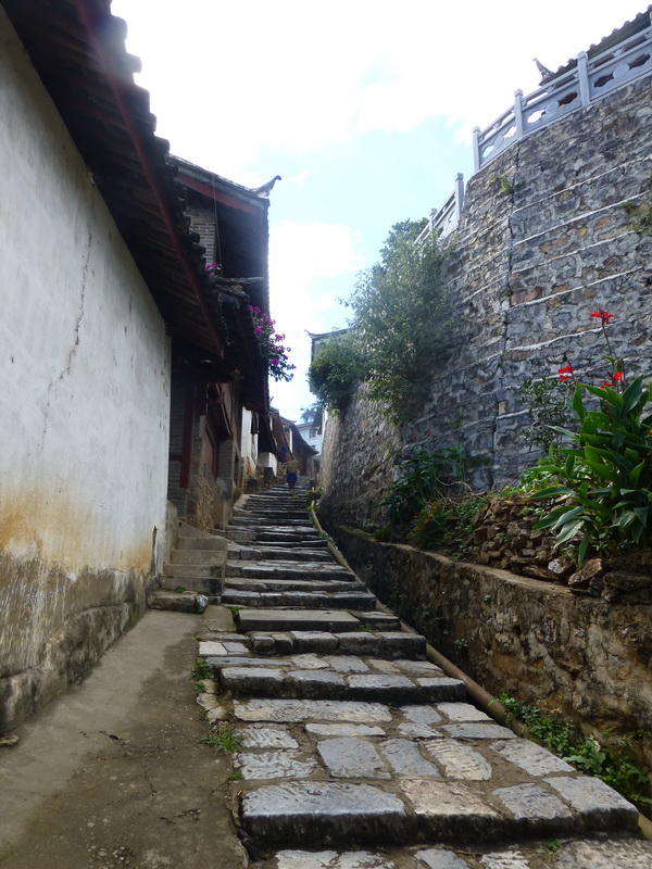 p1130977.jpg