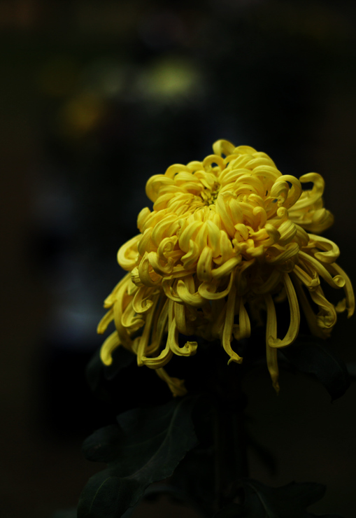 img_5766_.jpg