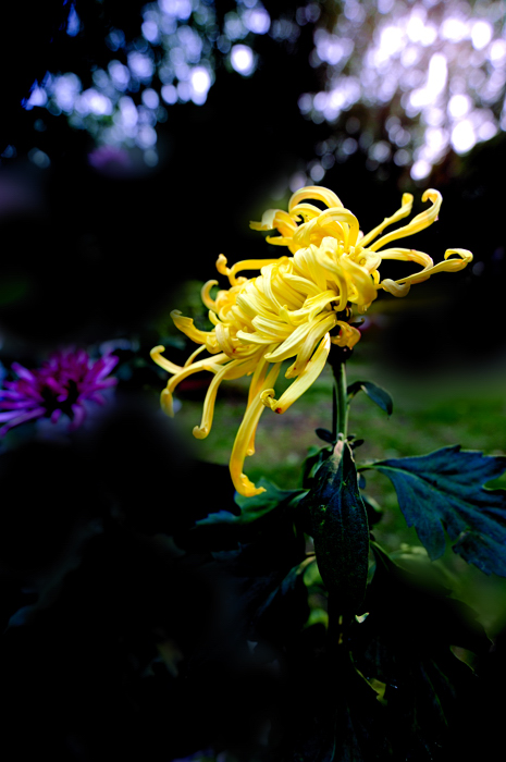 _dsc3424.jpg