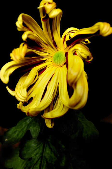 _dsc3437.jpg