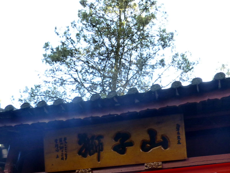 p1140037.jpg