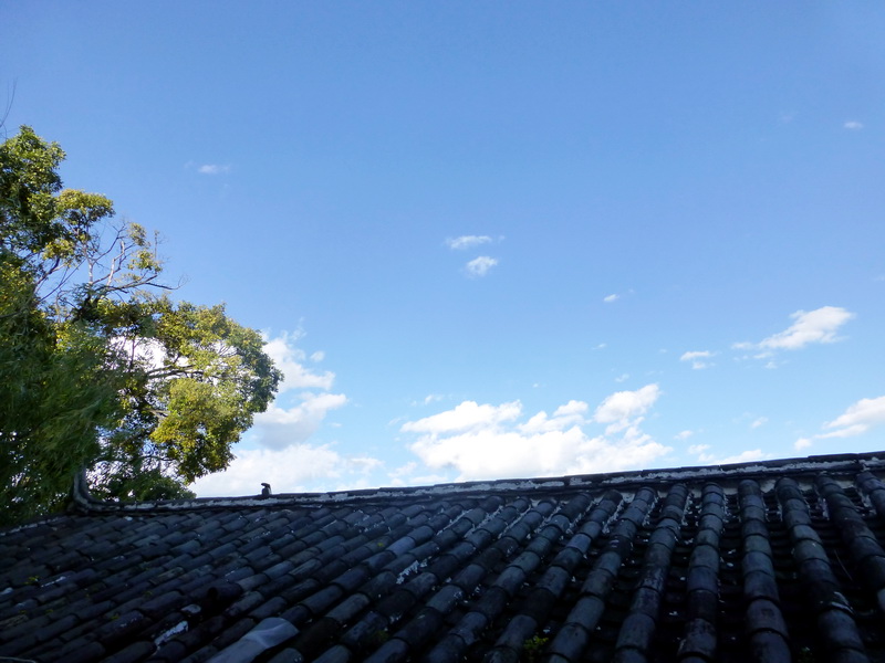 p1140039.jpg