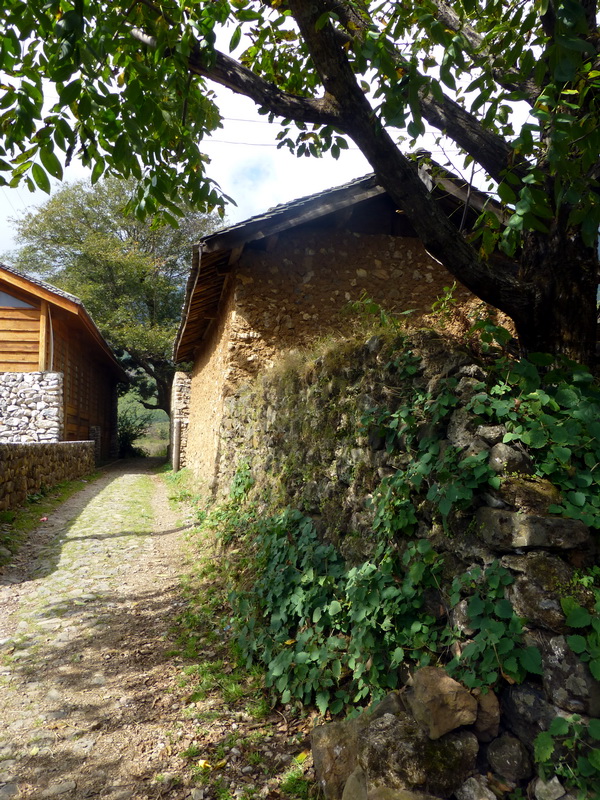 p1140081.jpg